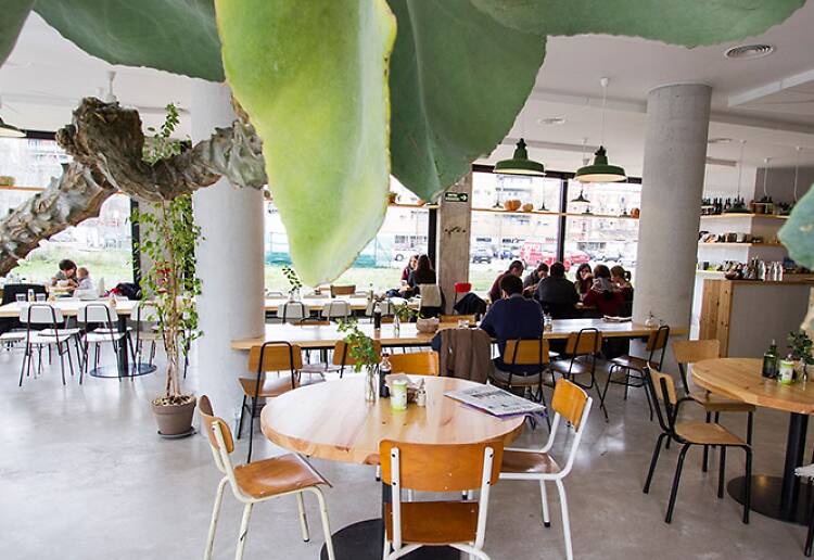 Sopa Barcelona