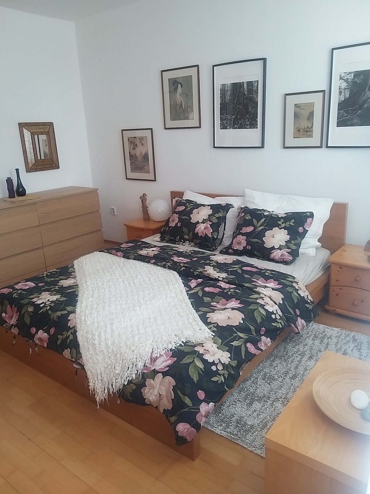 Amplio apartamento junto a Nepela Arena