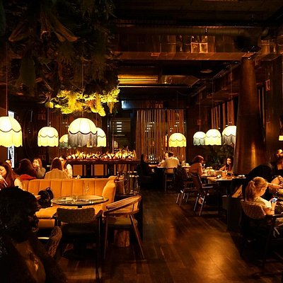 Linea | Closer To The Moon