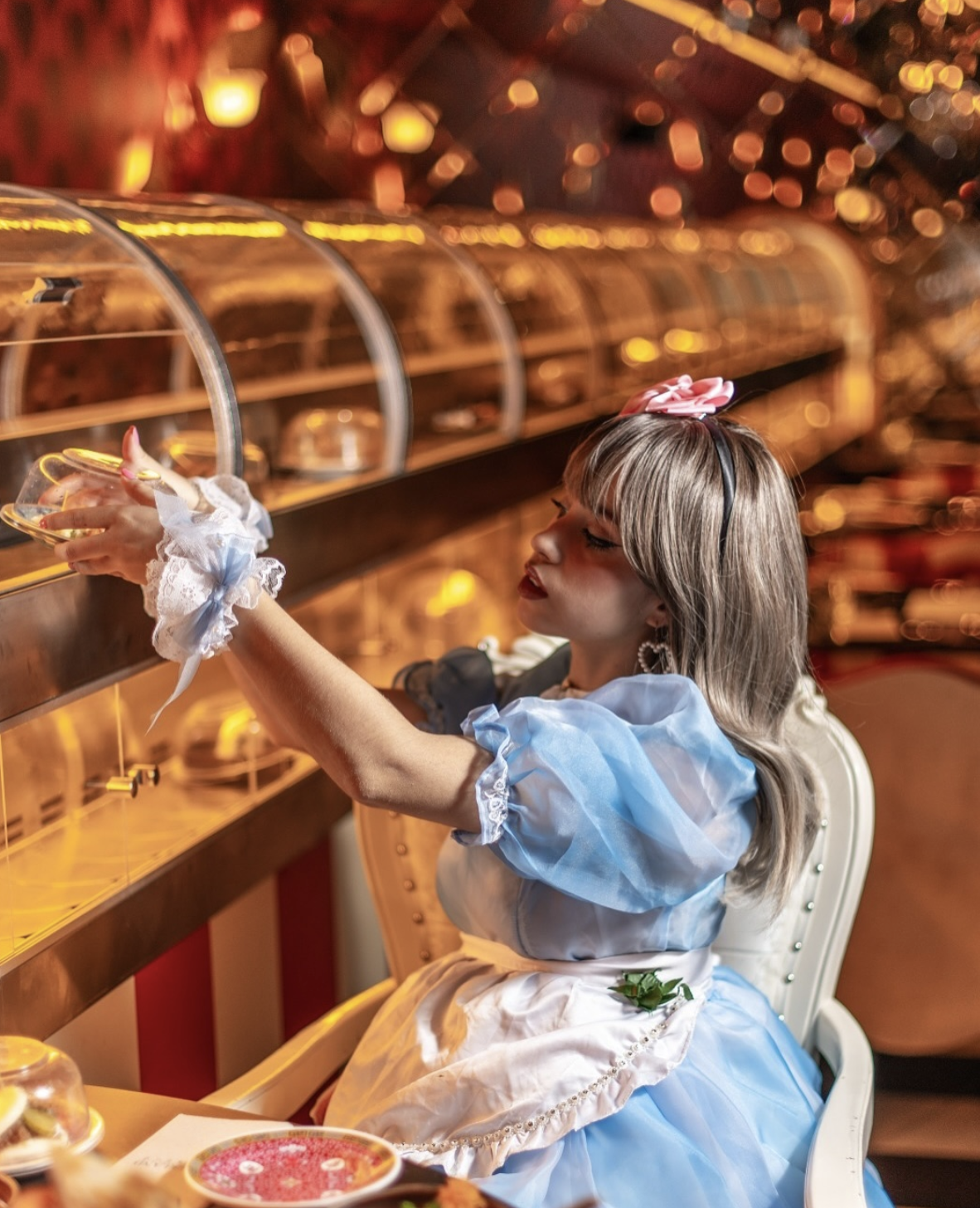 The Kaiten Lab Wonderland